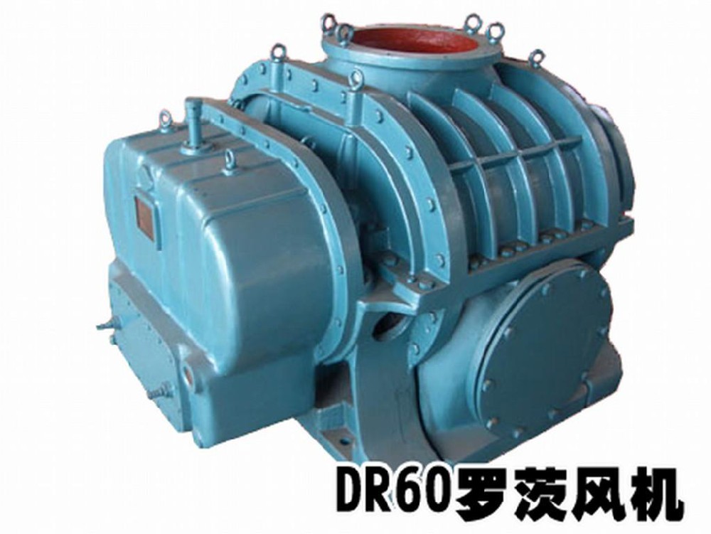 DR604焦化厂,化工厂,冶炼厂煤气输送专用罗茨风机